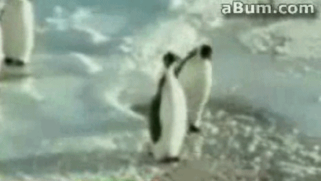 4f778bfeb37dfacedb25615231edf832_1651405153_7532.gif