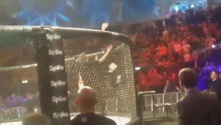 15135463417665.gif