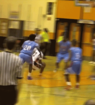 15135463683364.gif