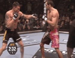 15135466339458.gif